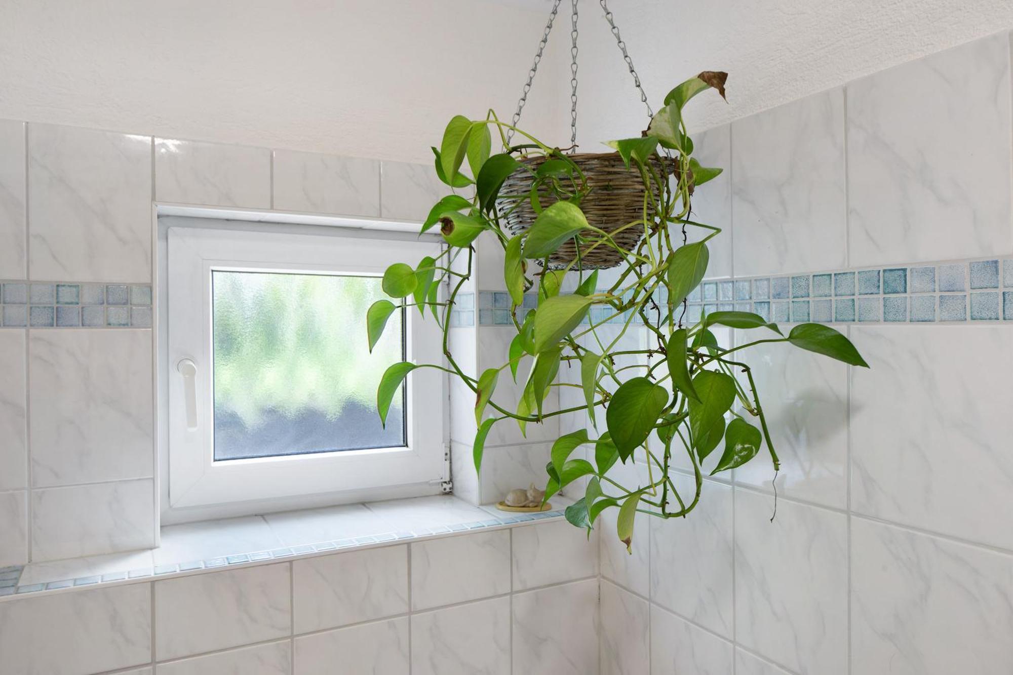 Ferienwohnung Zur Schauinslandbahn Horben Exteriér fotografie